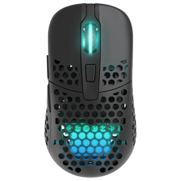 Hiir Xtrfy M42 Wireless RGB, Black hind ja info | Hiired | kaup24.ee