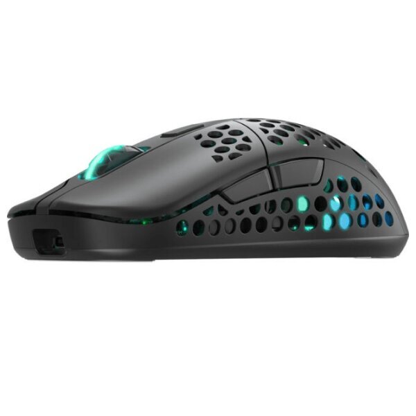 Hiir Xtrfy M42 Wireless RGB, Black hind ja info | Hiired | kaup24.ee