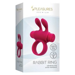 Peeniserõngas S Pleasures Rabbit, roosa hind ja info | Peeniserõngad, mansetid jne. | kaup24.ee