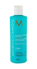 Moroccanoil Curl Enhancing шампунь 250 мл цена и информация | Шампуни | kaup24.ee