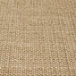 vidaXL vaip, naturaalne sisal, 80 x 100 cm hind ja info | Vaibad | kaup24.ee