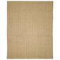 vidaXL vaip, naturaalne sisal, 80 x 100 cm hind ja info | Vaibad | kaup24.ee