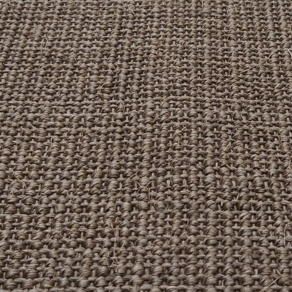 vidaXL vaip naturaalne sisal 66x200 cm, pruun hind ja info | Vaibad | kaup24.ee