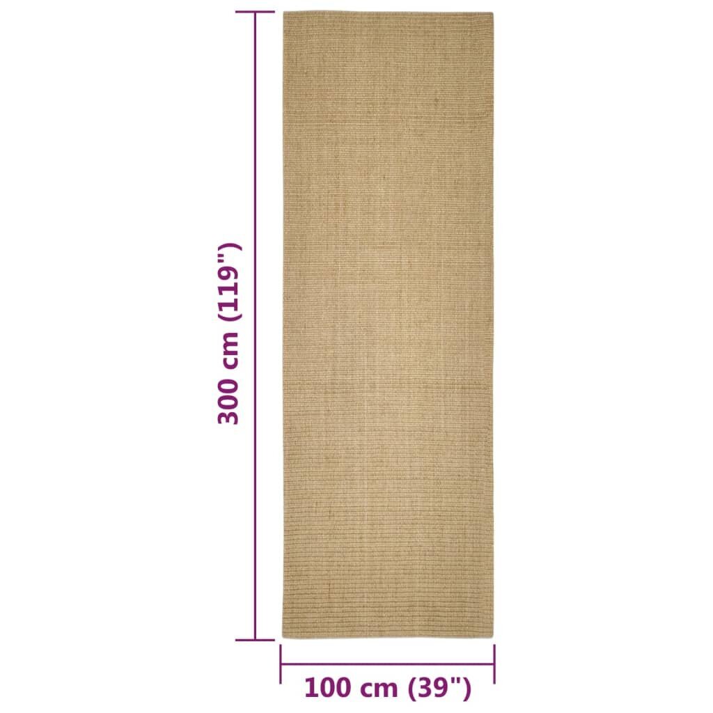 vidaXL vaip, naturaalne sisal, 100 x 300 cm hind ja info | Vaibad | kaup24.ee