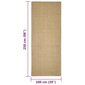 vidaXL vaip, naturaalne sisal, 100 x 250 cm цена и информация | Vaibad | kaup24.ee