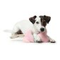 Koerte mänguasi Hunter Granby - Dog toy - 38 cm hind ja info | Mänguasjad koertele | kaup24.ee