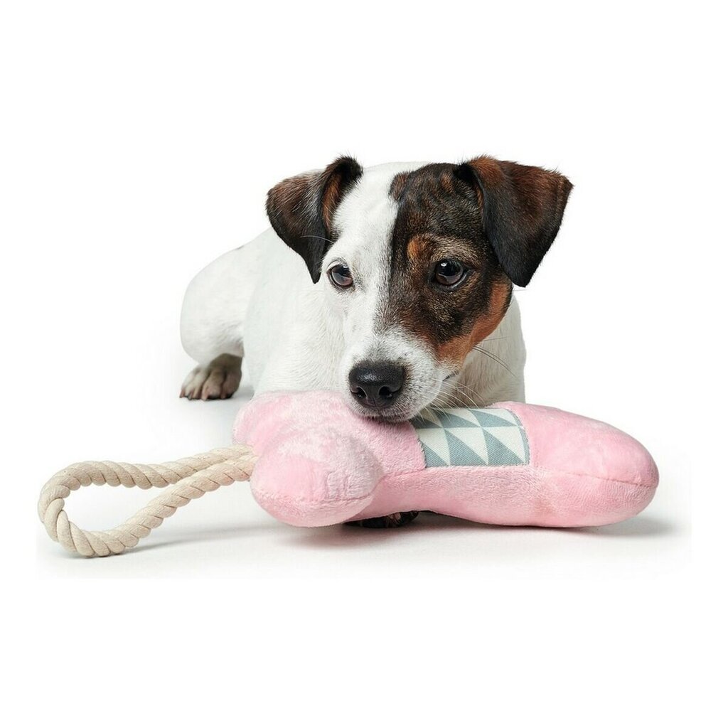 Koerte mänguasi Hunter Granby - Dog toy - 38 cm hind ja info | Mänguasjad koertele | kaup24.ee