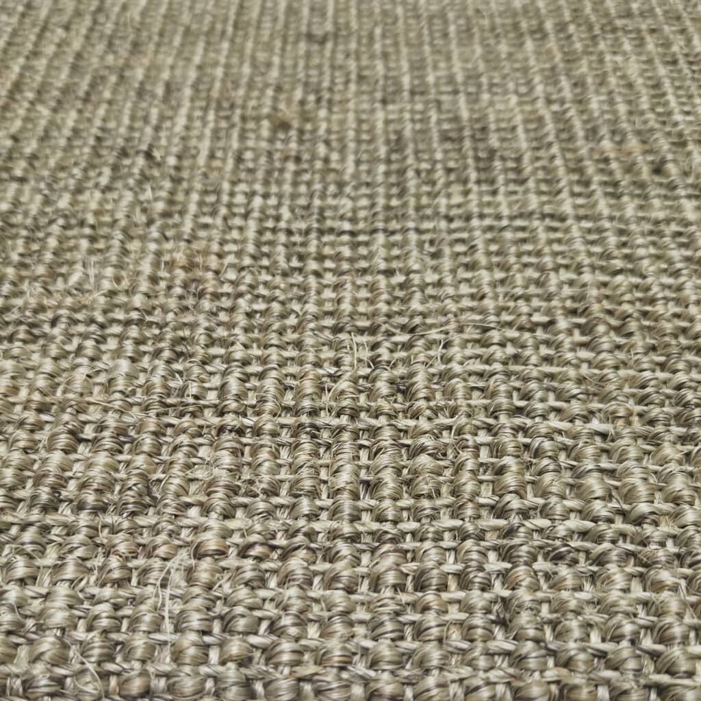 vidaXL vaip naturaalne sisal 66x300 cm, pruunikashall hind ja info | Vaibad | kaup24.ee