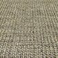 vidaXL vaip naturaalne sisal 66x300 cm, pruunikashall hind ja info | Vaibad | kaup24.ee