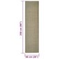 vidaXL vaip naturaalne sisal 66x250 cm, pruunikashall hind ja info | Vaibad | kaup24.ee