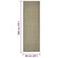 vidaXL vaip naturaalne sisal 66x200 cm, pruunikashall цена и информация | Vaibad | kaup24.ee