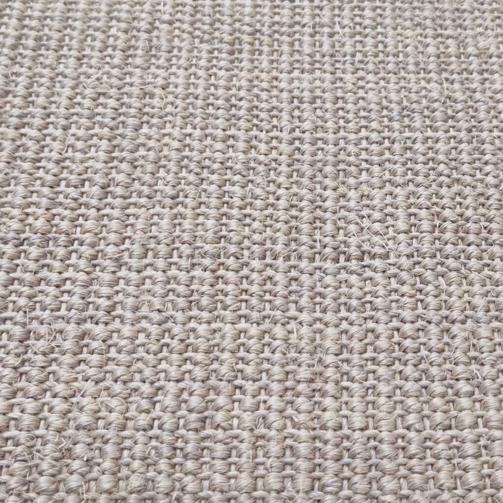 vidaXL vaip naturaalne sisal 80x200 cm, beež hind ja info | Vaibad | kaup24.ee