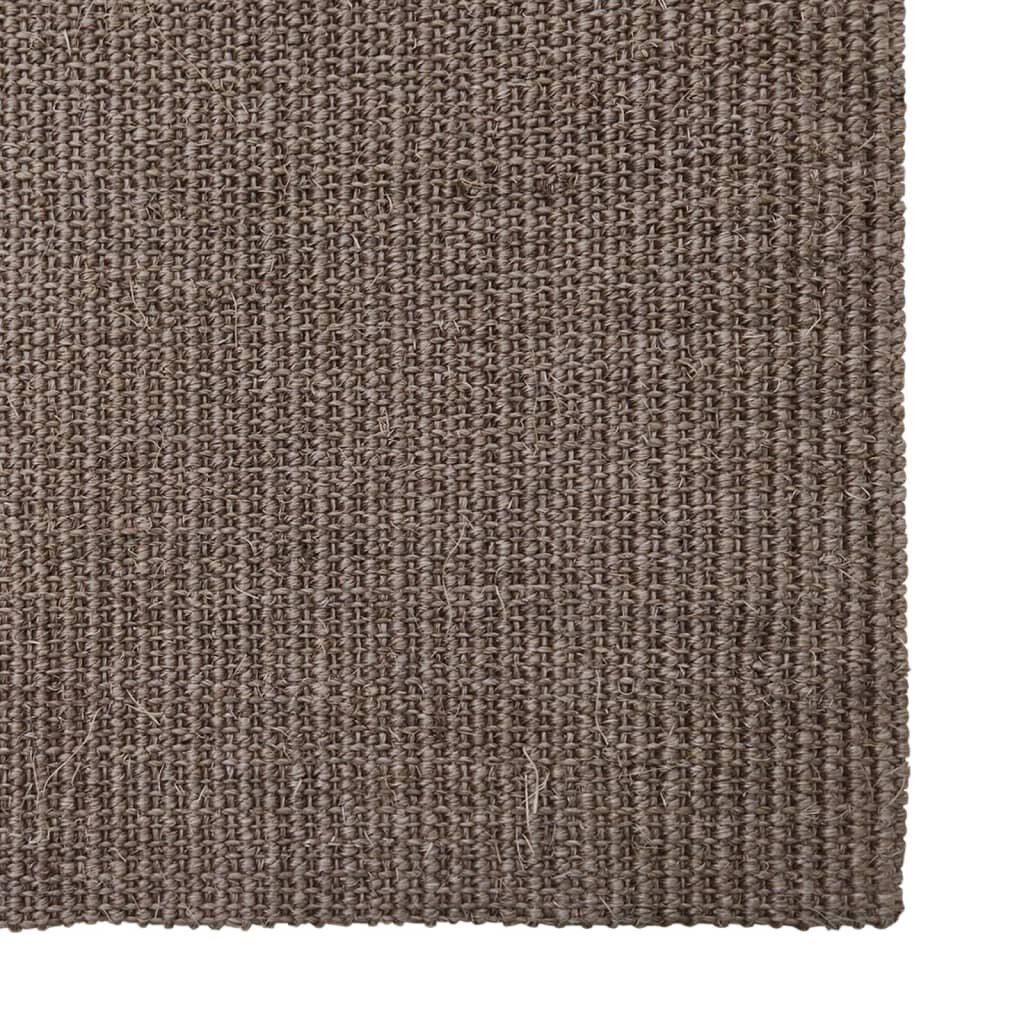 vidaXL vaip naturaalne sisal 80x250 cm, pruun цена и информация | Vaibad | kaup24.ee