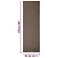 vidaXL vaip naturaalne sisal 80x250 cm, pruun hind ja info | Vaibad | kaup24.ee