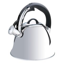 Non-electric kettle Maestro MR-1320-S Silver 2,2 L hind ja info | Maestro Kodutarbed | kaup24.ee