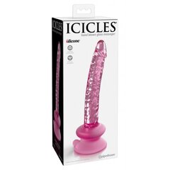 Мастурбатор Icicles no.86 glass dildo цена и информация | Секс игрушки, мастурбаторы | kaup24.ee