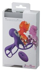 Paari vibraator BeaAents Twosome Fun Purple hind ja info | Vibraatorid | kaup24.ee