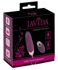 Трясущийся шар любви «Javida RC» цена и информация | Вибраторы | kaup24.ee