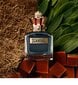 Meeste tualettvesi Jean Paul Gaultier Scandal Pour Homme EDT, 100 ml цена и информация | Meeste parfüümid | kaup24.ee