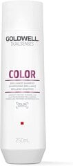 Šampoon värvitud juustele Goldwell Dualsenses Brilliance Color Shampoo 250ml цена и информация | Шампуни | kaup24.ee