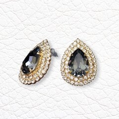 Naiste kõrvarõngad Diamond Sky „Jasmine (Silver Night)“ koos Swarovski kristallidega DS02A361 hind ja info | Kõrvarõngad | kaup24.ee
