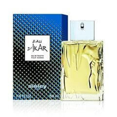 Sisley Eau d´Ikar EDT meestele 100 ml hind ja info | Meeste parfüümid | kaup24.ee