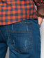 Meeste teksad Skinny Fit Ombre P1060, sinine hind ja info | Meeste teksad | kaup24.ee