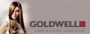 Goldwell Dualsenses Blondes & Highlights kollast tooni neutraliseeriv šampoon 1000 ml hind ja info | Goldwell Kosmeetika, parfüümid | kaup24.ee