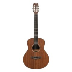 Klassikaline kitarr James Nelighan OLO-N цена и информация | Гитары | kaup24.ee