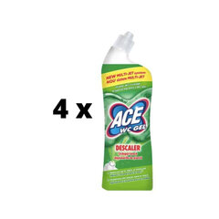 WC puhastusvahend Ace Descaling, 700 ml x 4 tk. pakett hind ja info | Puhastusvahendid | kaup24.ee