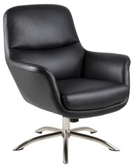 Кресло Actona Dalby, черное цена и информация | Кресла в гостиную | kaup24.ee