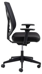 Офисный кресло Ebbe, черное цена и информация | Офисные кресла | kaup24.ee