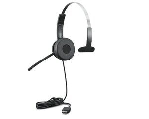 Lenovo 100 Mono Headset Wired Head-band Office/Call center USB Type-A Black цена и информация | Наушники | kaup24.ee