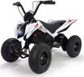 Elektriline ATV Injusa X-Treme Dirt 24 V hind ja info | Laste elektriautod | kaup24.ee