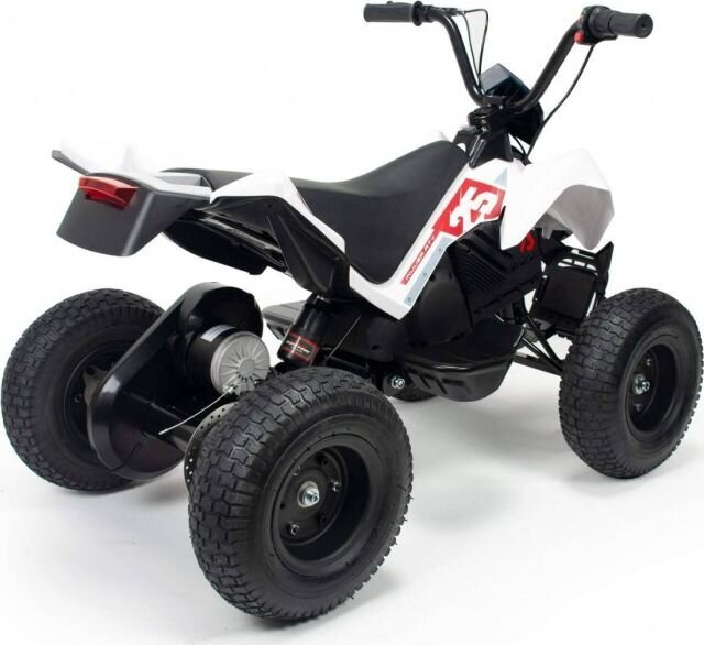 Elektriline ATV Injusa X-Treme Dirt 24 V hind ja info | Laste elektriautod | kaup24.ee