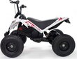 Elektriline ATV Injusa X-Treme Dirt 24 V hind ja info | Laste elektriautod | kaup24.ee