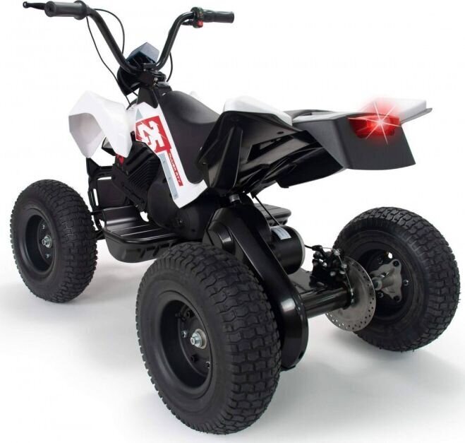 Elektriline ATV Injusa X-Treme Dirt 24 V hind ja info | Laste elektriautod | kaup24.ee