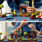21331 LEGO® Ideas Sonic the Hedgehog. Roheliste mägede piirkond hind ja info | Klotsid ja konstruktorid | kaup24.ee