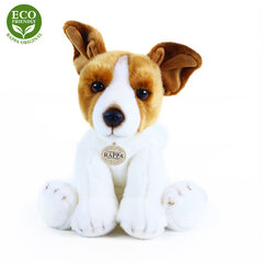 Jack Russelli terjer lemmikloomapassiga, 26 cm цена и информация | Мягкие игрушки | kaup24.ee