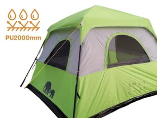 4 местная палатка GoNature P4 цена и информация | Палатки | kaup24.ee