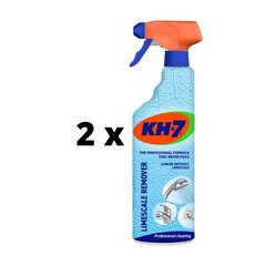 Katlakivieemaldaja KH-7, 750 ml x 2 tk цена и информация | Очистители | kaup24.ee