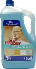 Универсальное чистящее средство Mr.Proper Delicate, 5 л x 1 шт. упаковка цена и информация | Чистящие средства | kaup24.ee