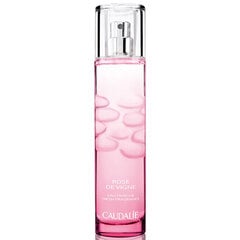 Naiste parfüüm Caudalie Rose de Vigne (50 ml) цена и информация | Женские духи | kaup24.ee