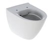 Wc Ifö Spira Art Rimfree®, seinale riputatav, 355 x 520 mm, valge, Ifö Clean kattega 624500009 цена и информация | WС-potid | kaup24.ee