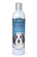 Šampoon Bio Groom Groom'n Fresh, 355 ml цена и информация | Косметические средства для животных | kaup24.ee