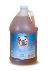 Bio Groom šampoon Natural Oatmeal, 3,8 l цена и информация | Косметические средства для животных | kaup24.ee