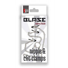 Blaze Nipple & Clit klambrid hind ja info | BDSM ja fetish | kaup24.ee