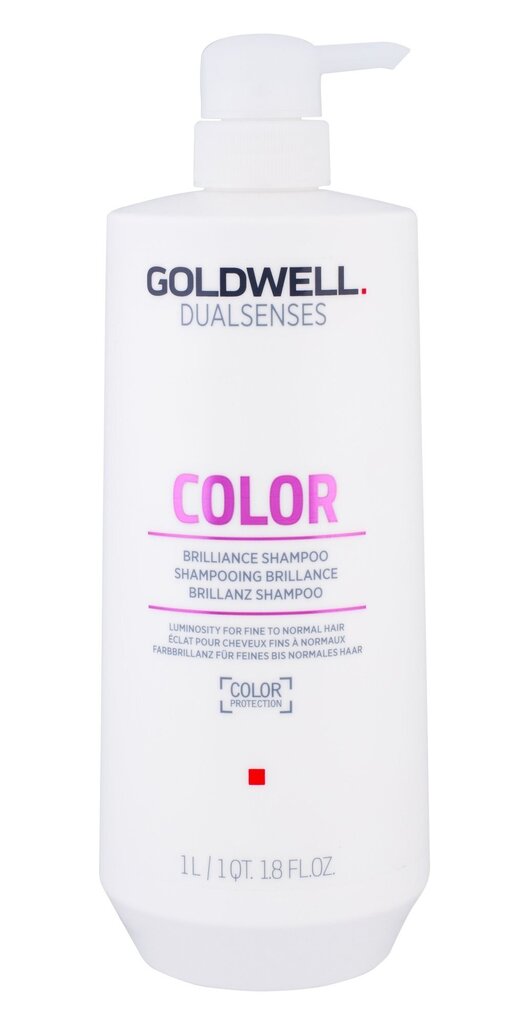 Šampoon värvitud juustele, Goldwell Dualsenses Brilliance Color Shampoo, 1000ml цена и информация | Šampoonid | kaup24.ee