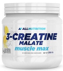 AllNutrition 3-Kreatiinmalaat Muscle Max 250 g hind ja info | Kreatiin | kaup24.ee
