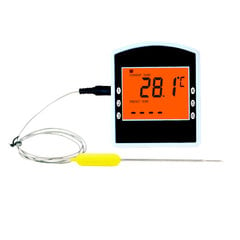 Kõrge temperatuuriga traadita toidutermomeeter TP6061 цена и информация | Аксессуары для гриля и барбекю | kaup24.ee